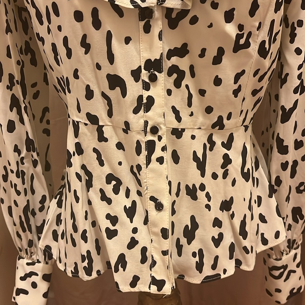 Zara Blouse - Picture 6 of 12